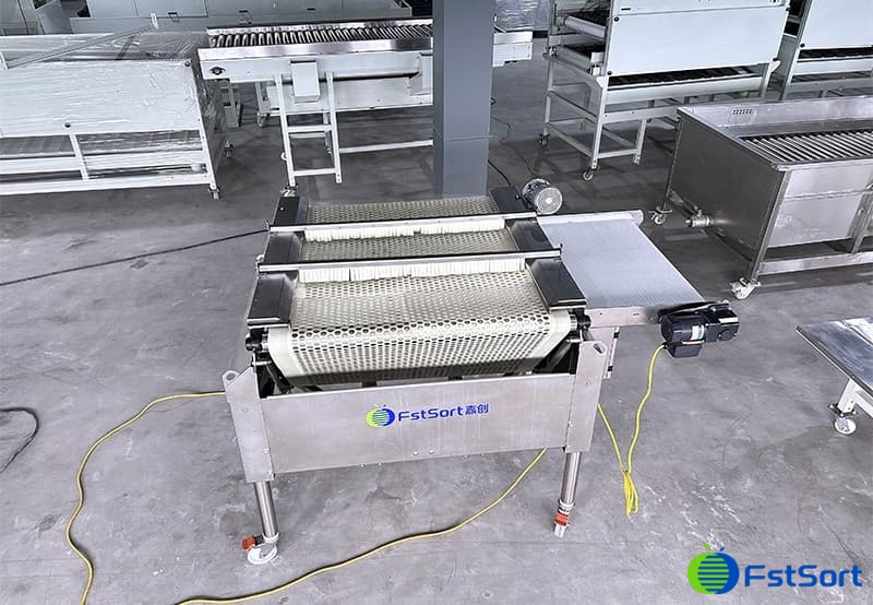 images/1675243297830blueberry grader.jpg